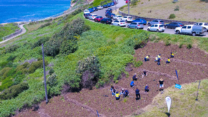 King Edward Park planting day - Growing Greater Together