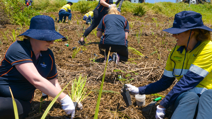 King Edward Park planting day - Growing Greater Together